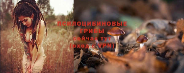 меф Белокуриха